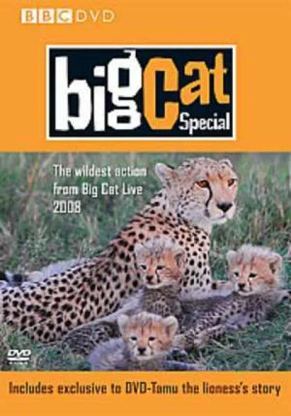 Big Cat Diary - The Special Bild 1