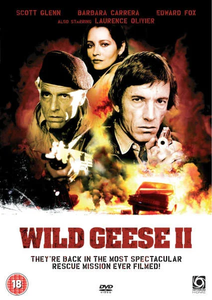 Wild Geese 2 Bild 1