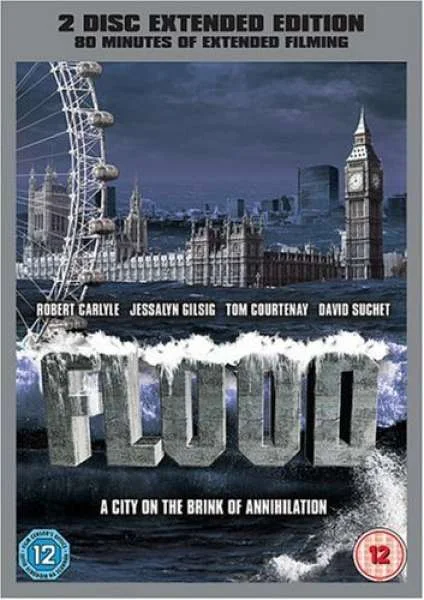 Flood - 2-Disc Special Edition Bild 1