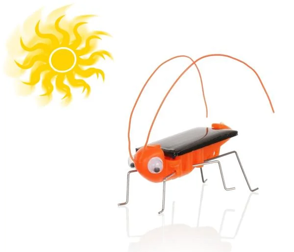 Solar Grasshoppers Bild 1