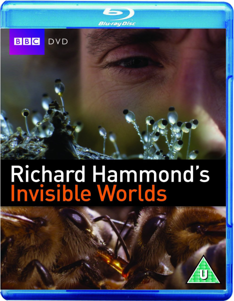 Richard Hammonds Invisible Worlds Bild 1
