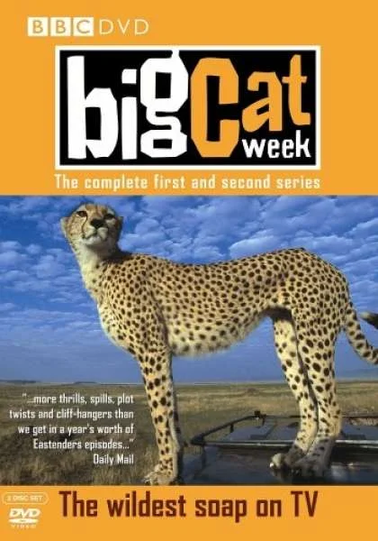 Big Cat Week - Series 1 And 2 Bild 1
