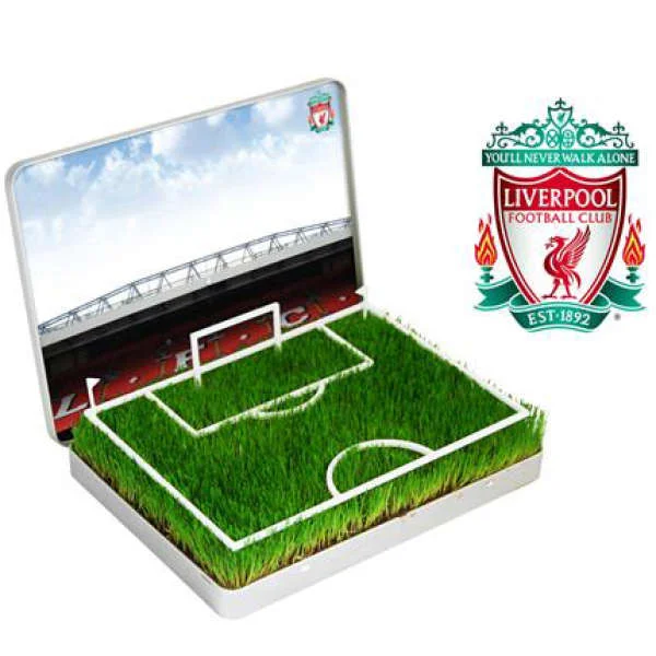 Züchte dir dein eigenes Liverpool Mini-Fußballfeld Bild 1
