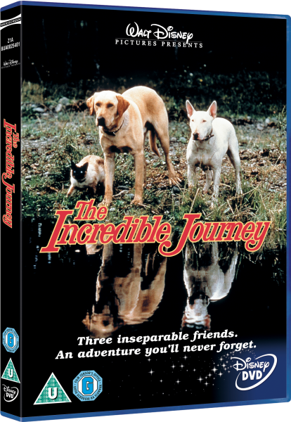 The Incredible Journey Bild 1