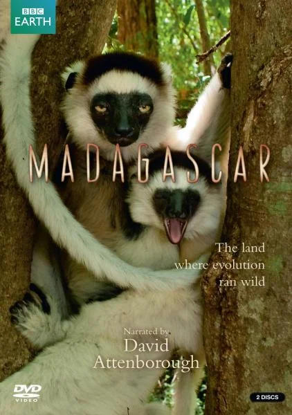 Madagascar Bild 1
