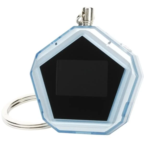 Compositor 1 Inch Digital Photoframe Keyring Bild 1