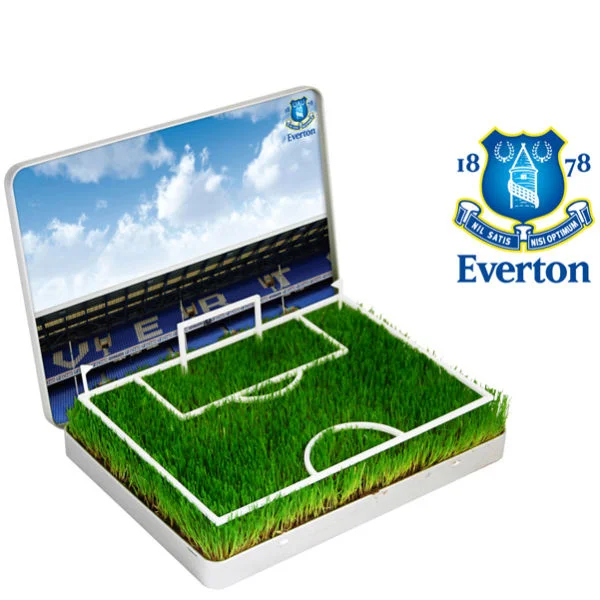 Züchte dir dein eigenes Everton Mini-Fußballfeld Bild 1