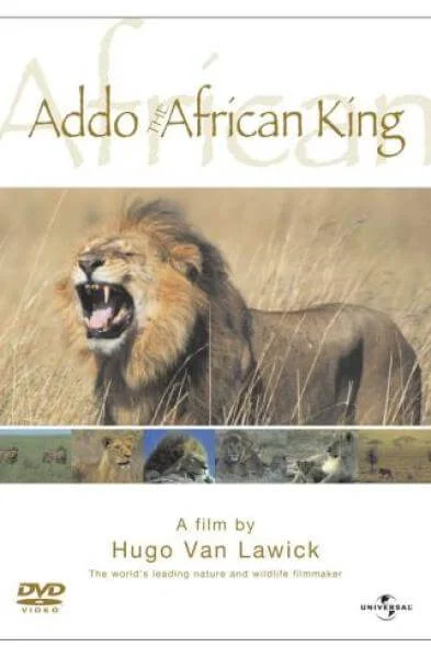 Addo: The African King Bild 1