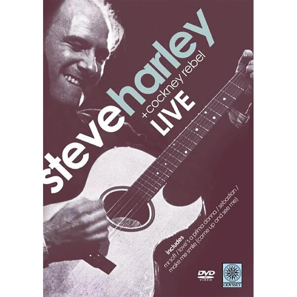 Steve Harley im Konzert Bild 1