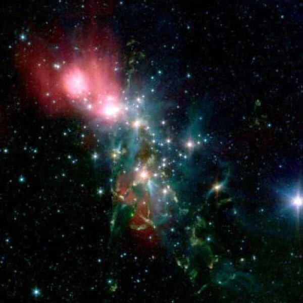 Deluxe Package: Name A Star Bild 1