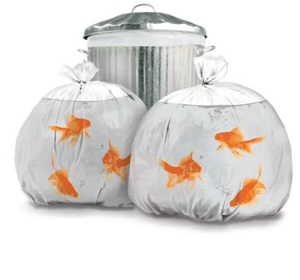 Goldfish Bin Bags Bild 1