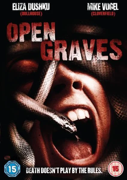 Open Graves Bild 1