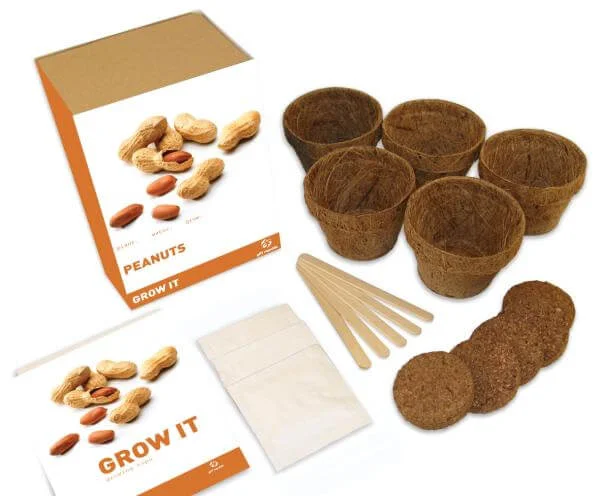 Grow It Peanuts Gift Box Bild 1