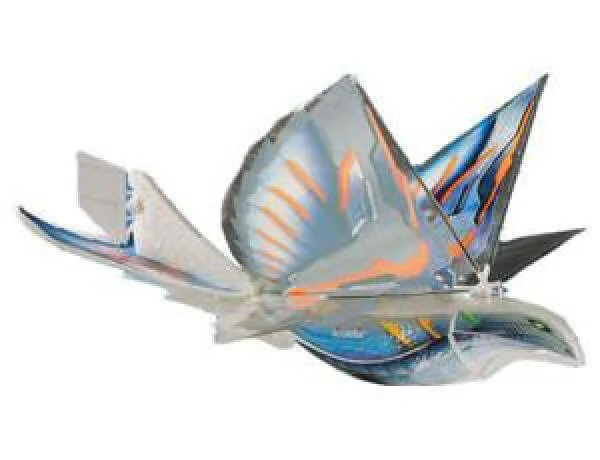 I-Bird Infra Red Ornithhopter Bird Bild 1