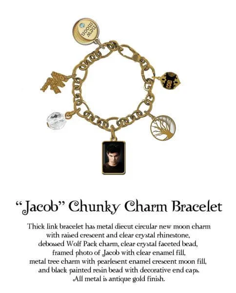 Twilight New Moon - Chunky Charm Bracelet - Jacob Bild 1