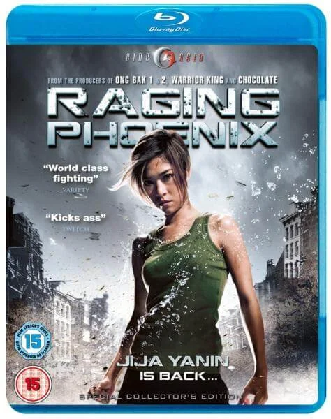 Raging Phoenix Bild 1