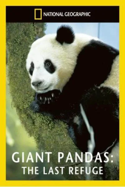 National Geographic: Giant Pandas The Last Refuge Bild 1