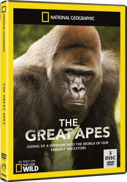 National Geographic Great Apes Bild 1