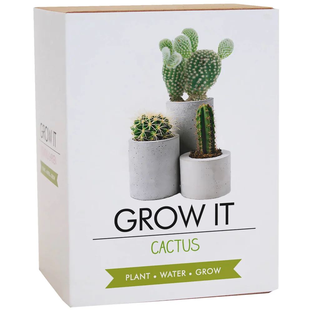 Grow It Kaktuspflanze Bild 1
