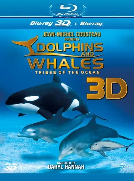 IMAX: Delfine und Wale (2D + 3D Version) Bild 1