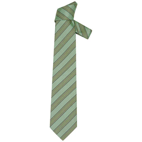 Hugo Boss Men's Tie Bt93 11012 - Green Bild 1