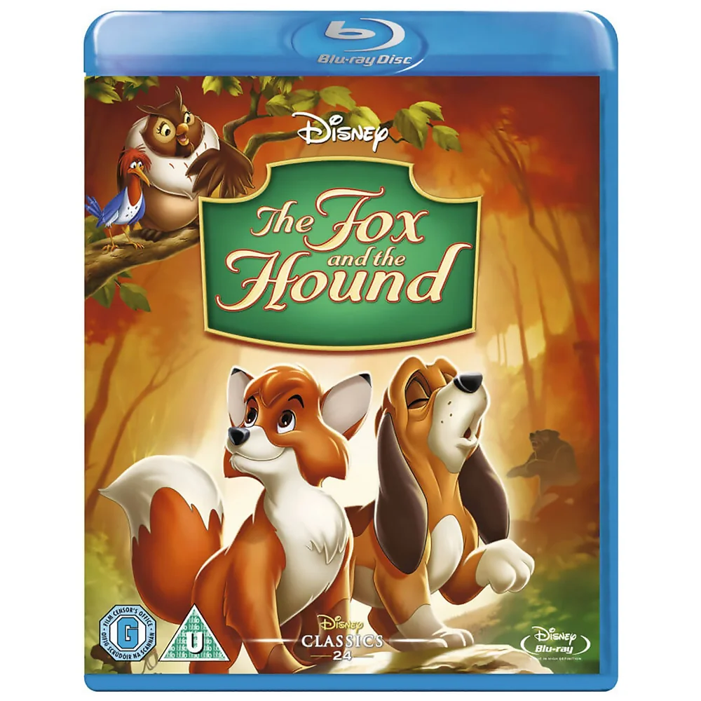 Der Fuchs und der Jagdhund Bild 1