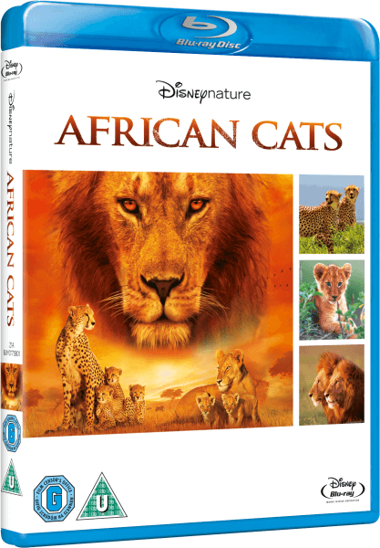 African Cats Bild 1