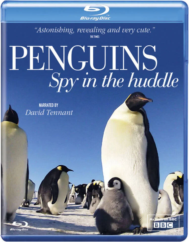 Penguin Spy in the Huddle Bild 1