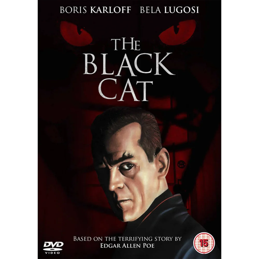 Die schwarze Katze Bild 1