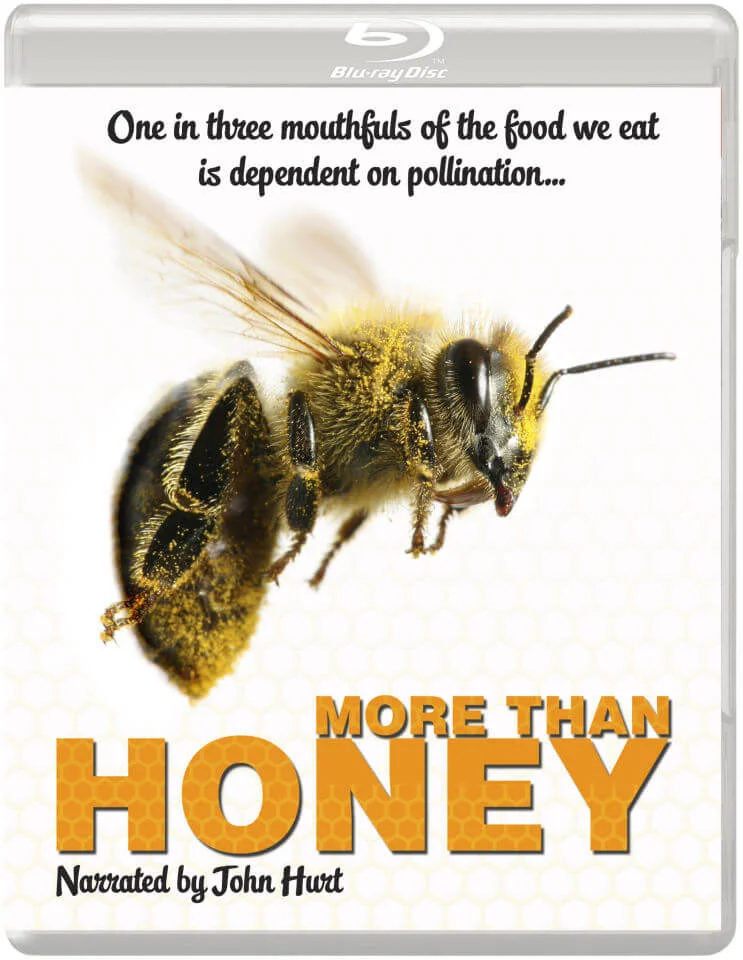 More Than Honey Bild 1