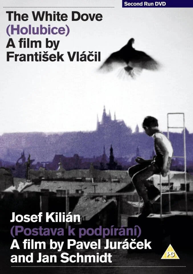 Die weiße Taube / Josef Kilian Bild 1