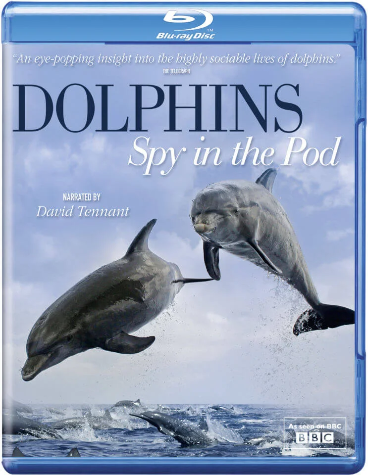 Dolphins Spy in the Pod Bild 1