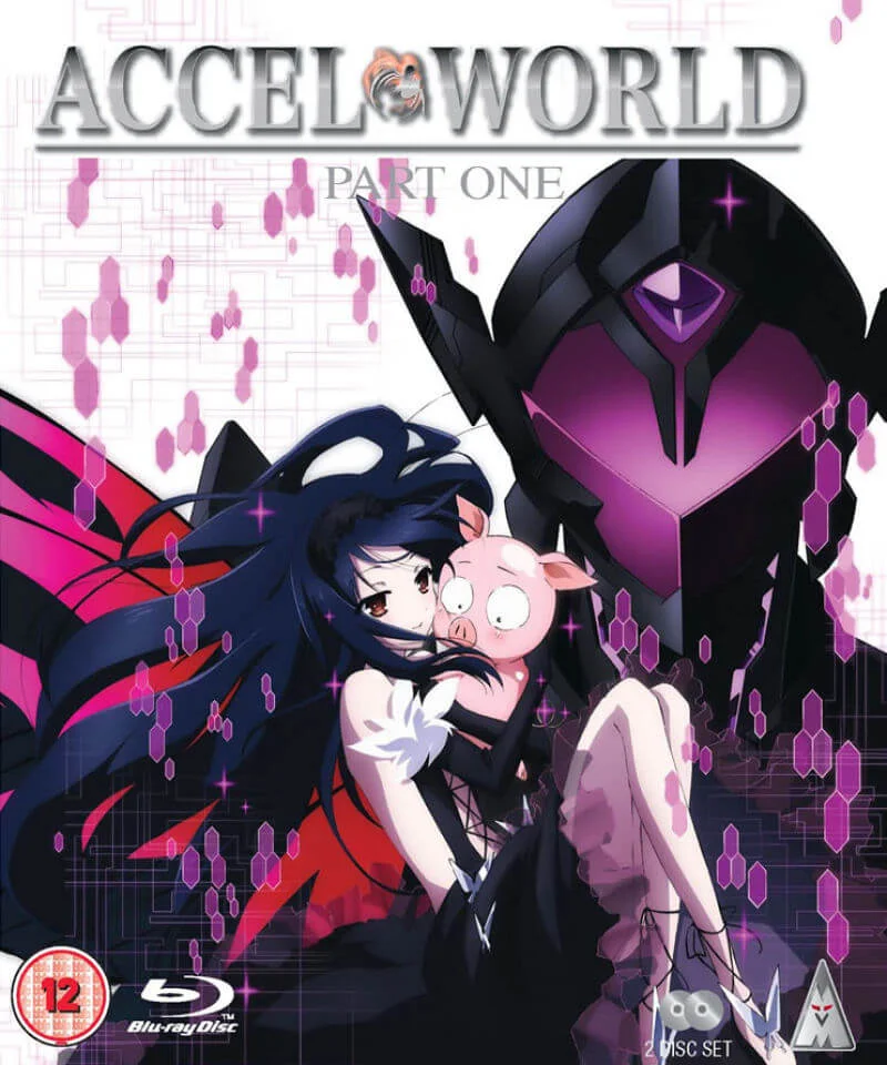Accel World - Part 1 Bild 1