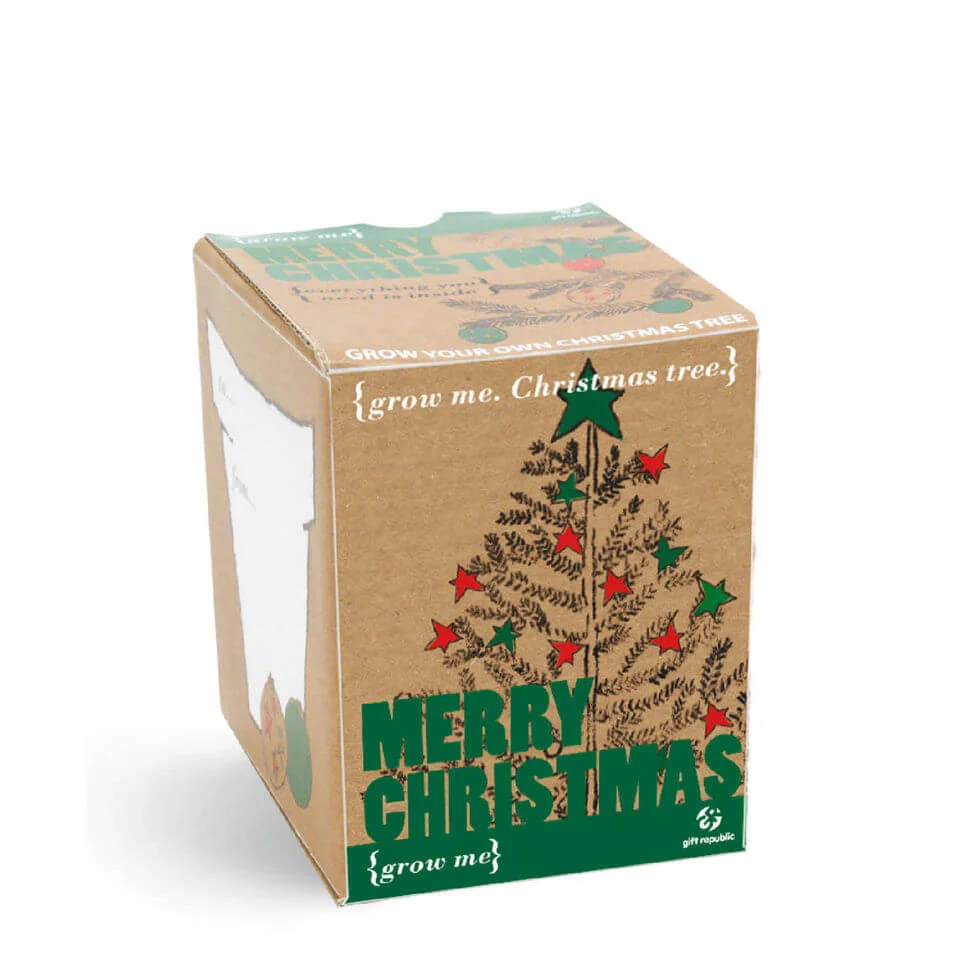 Tannenbaum zum Selberzüchten Set Bild 1