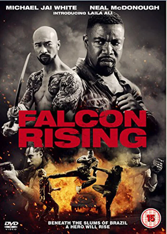 Falcon Rising Bild 1