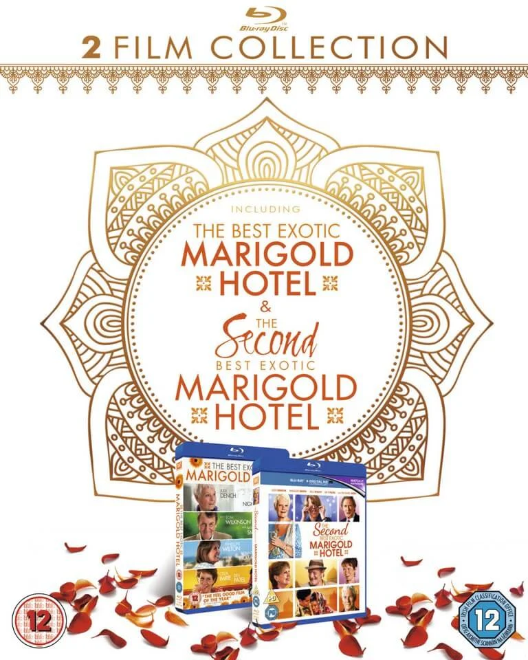 The Second Best Exotic Marigold Hotel 1-2 Box Set Bild 1