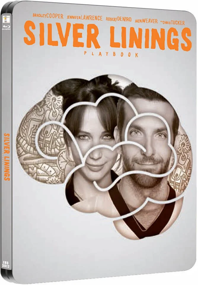 Silver Linings Playbook - Limited Edition Steelbook Bild 1