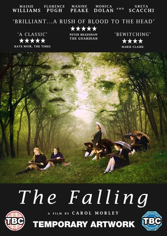 The Falling - Blu Ray Bild 1