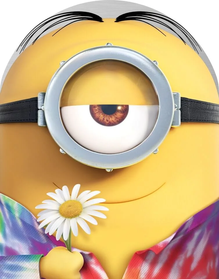 Minions Limited Edition: Collectors Case Bild 1