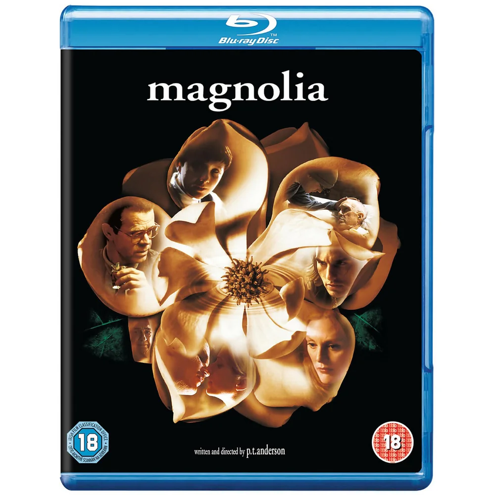 Magnolie Bild 1