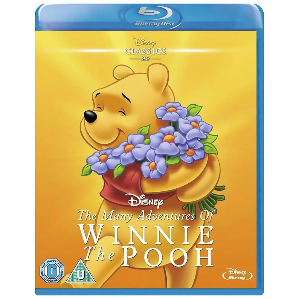 Die vielen Abenteuer von Winnie Puuh Bild 1