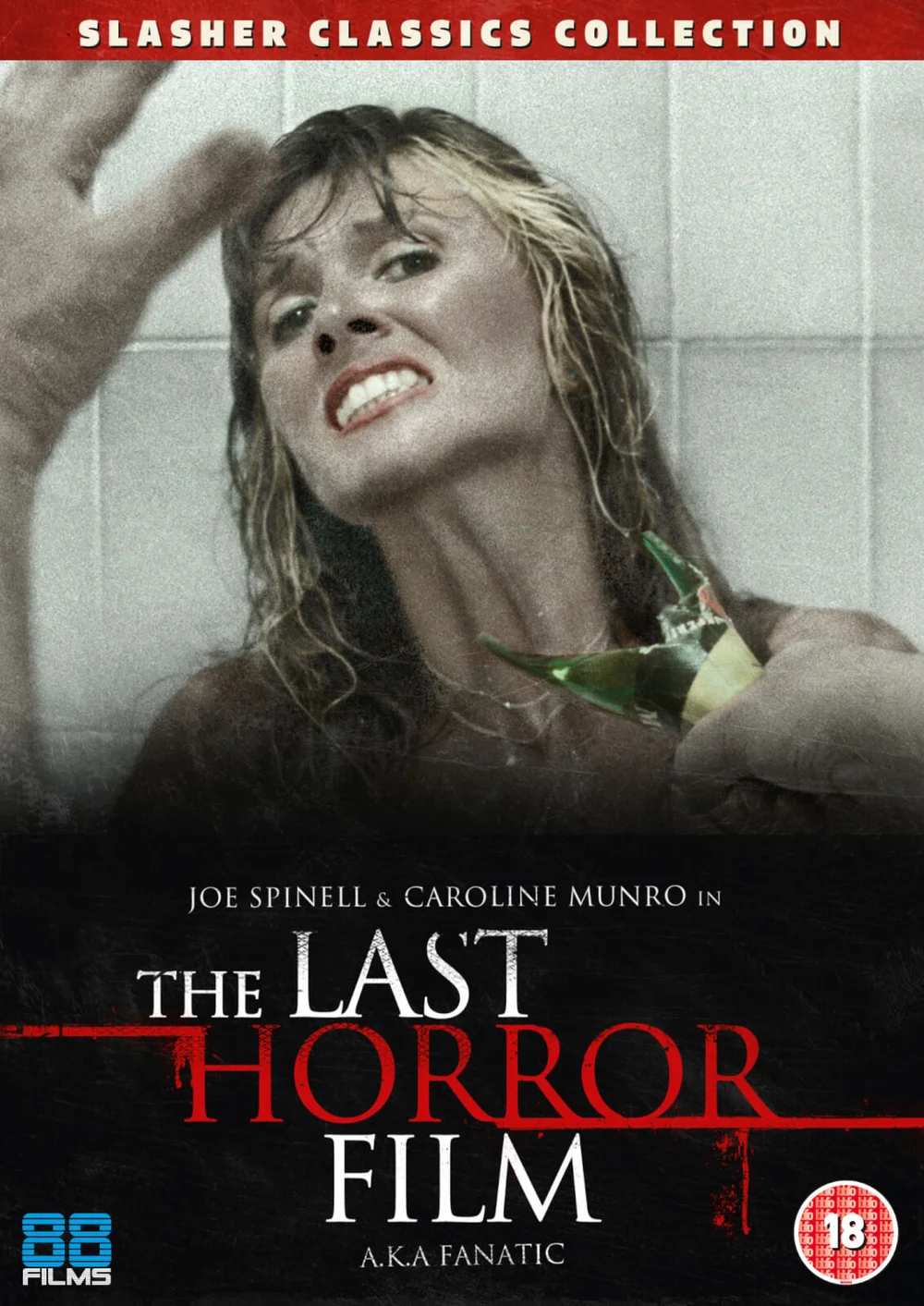 The Last Horror Film Bild 1