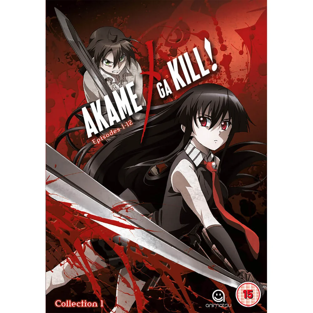 Akame Ga Kill Sammlung 1 - Episoden 1-12 Bild 1