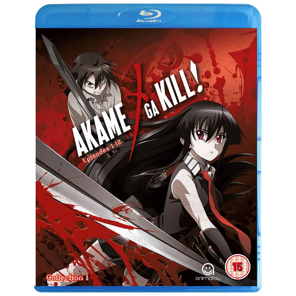 Akame Ga Kill Sammlung 1 - Episoden 1-12 Bild 1