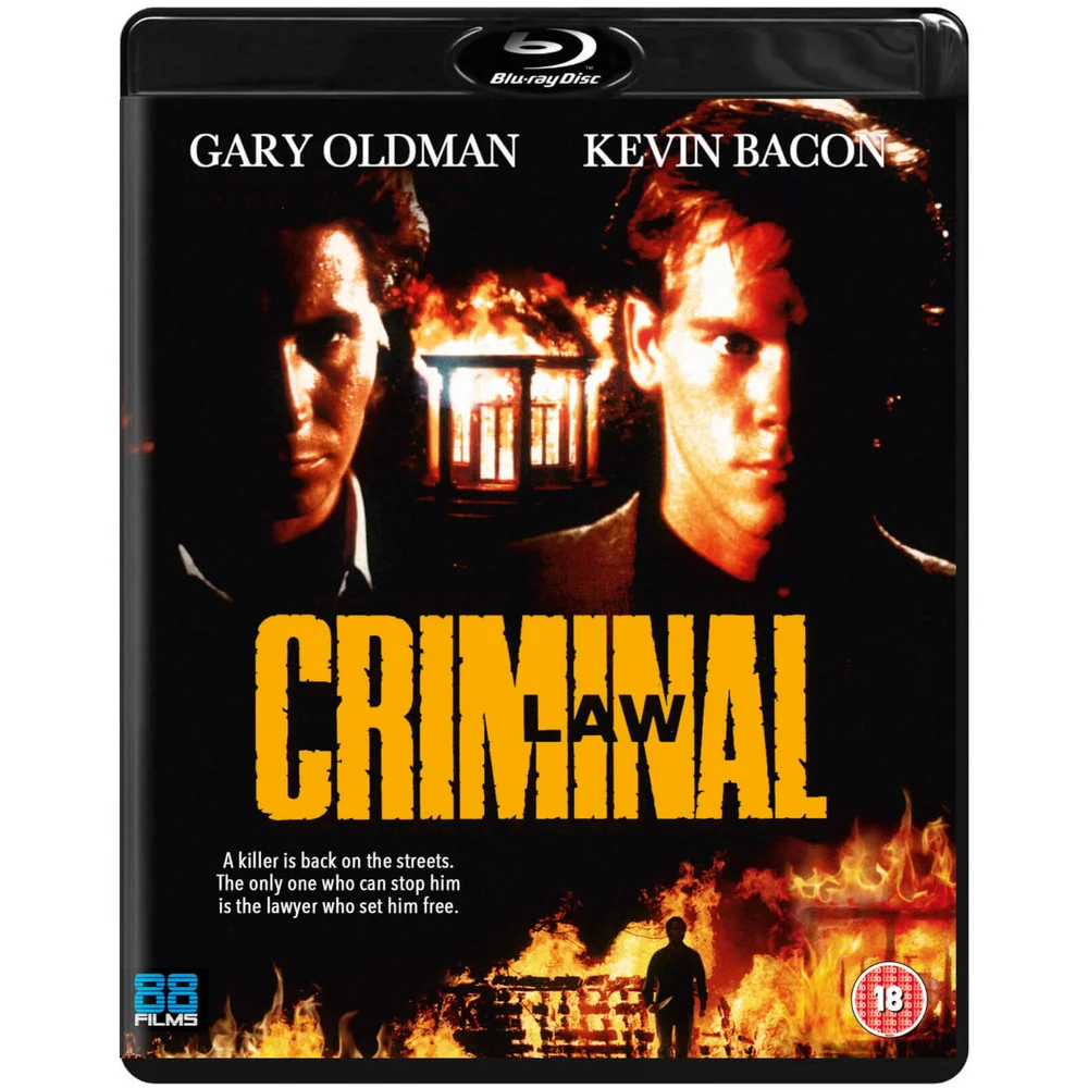Criminal Law Bild 1