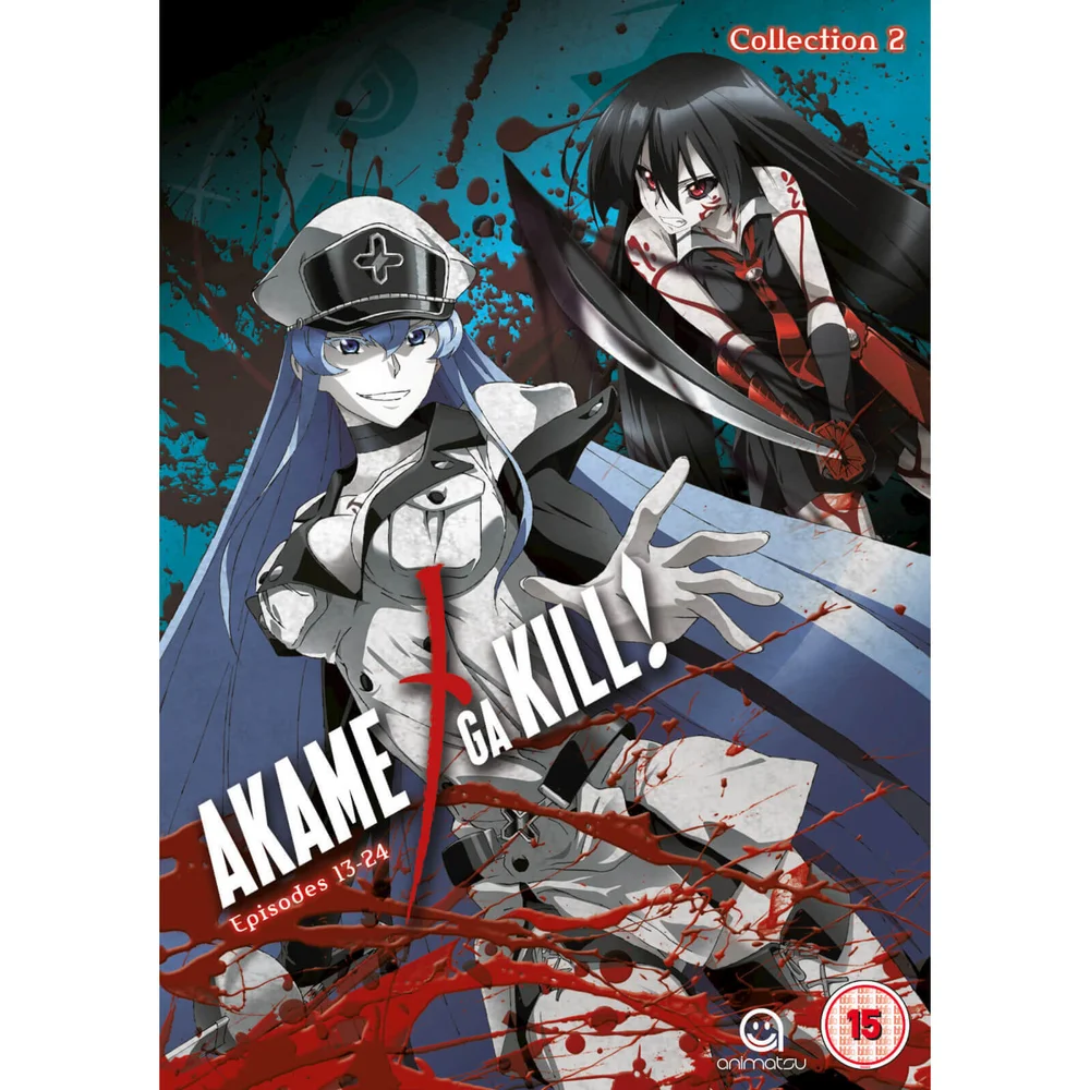 Akame Ga Kill - Sammlung 2 Bild 1