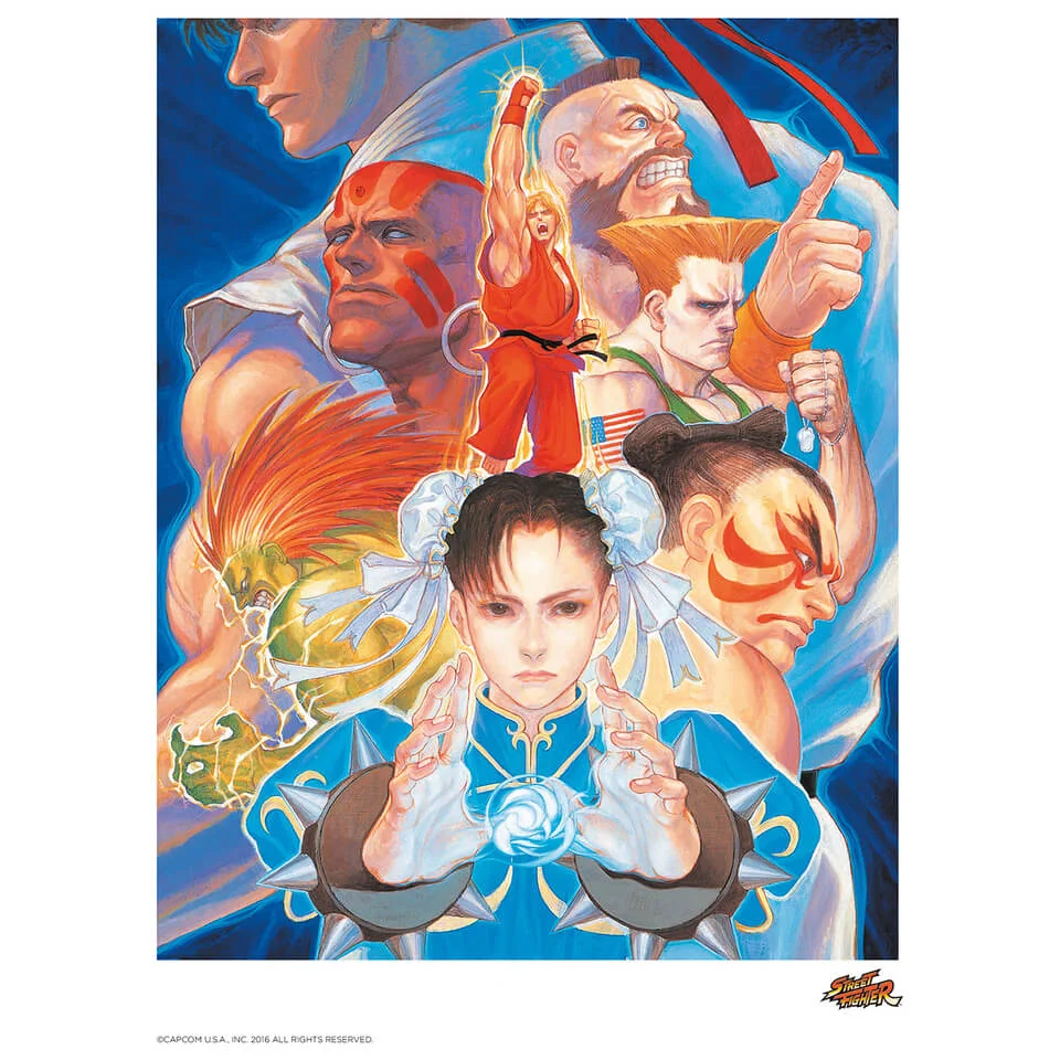 Street Fighter 'That's Good Kung-Fu!' Art Print 14 x 11" Bild 1