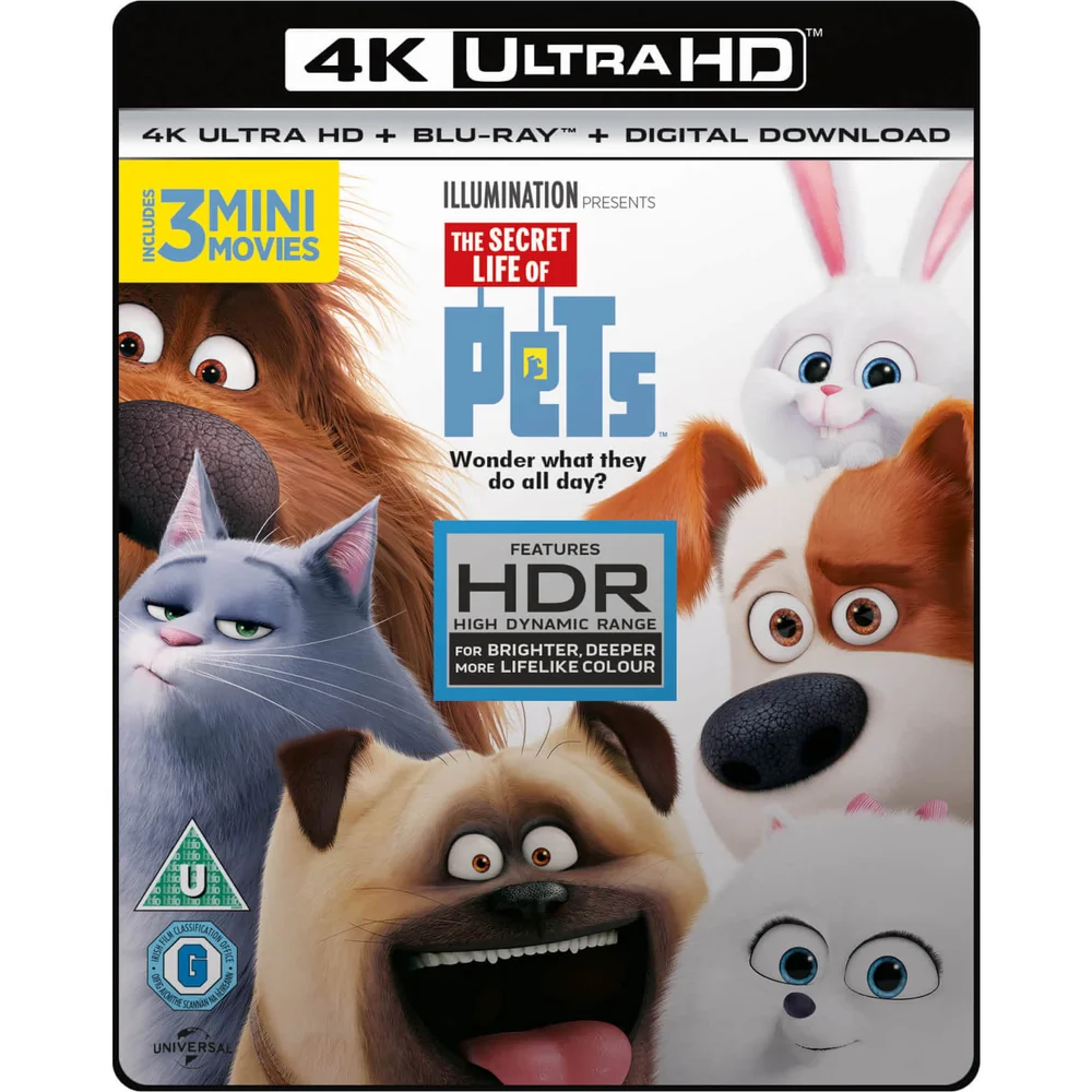 Das geheime Leben der Haustiere - 4K Ultra HD Bild 1