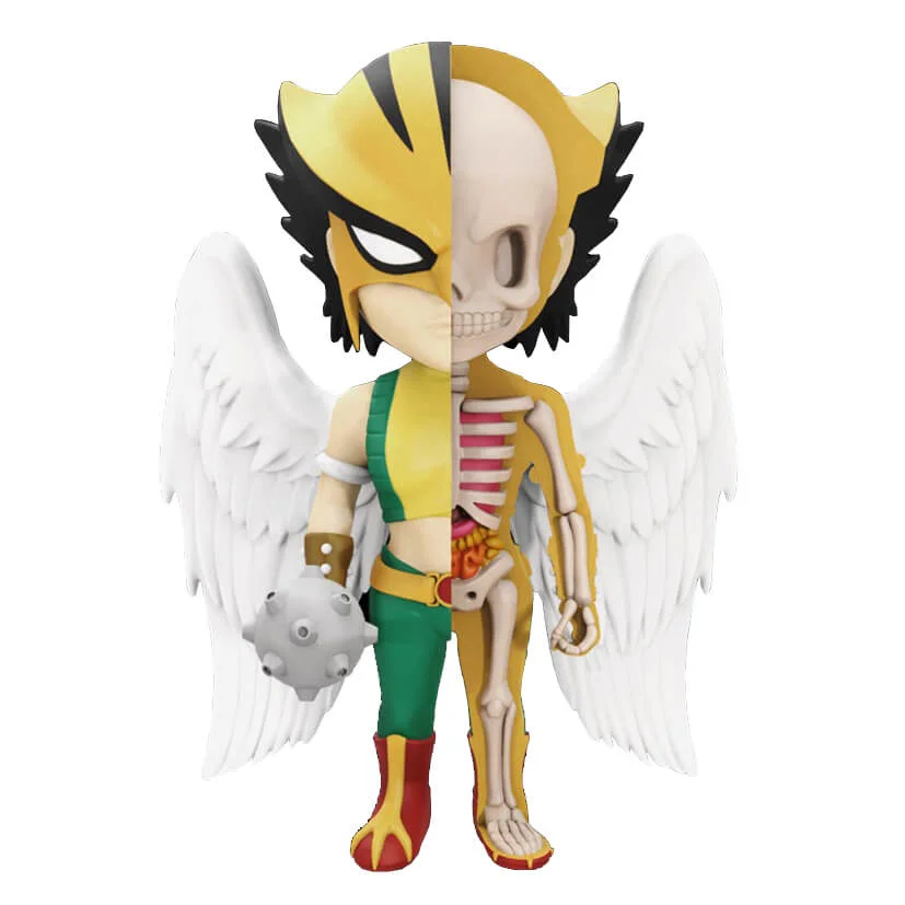 DC Comics XXRAY Figure Wave 5 Hawkgirl 10 cm Bild 1