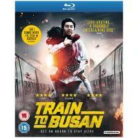 Zug nach Busan